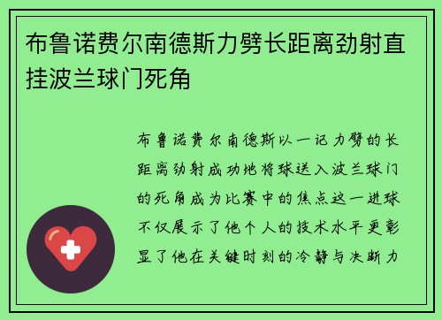 布鲁诺费尔南德斯力劈长距离劲射直挂波兰球门死角